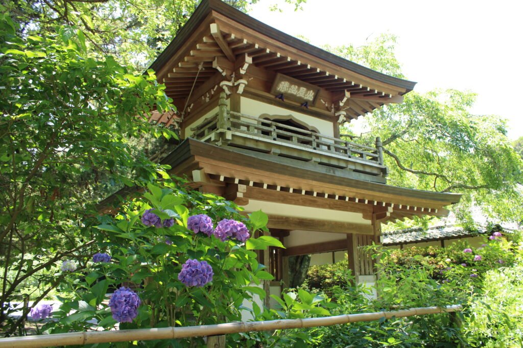 ⛩️ 광명정칙의 절 (코소쿠지) 이미지 5